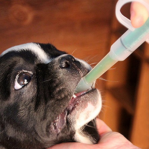 Pet Medicine Feeding Syringe